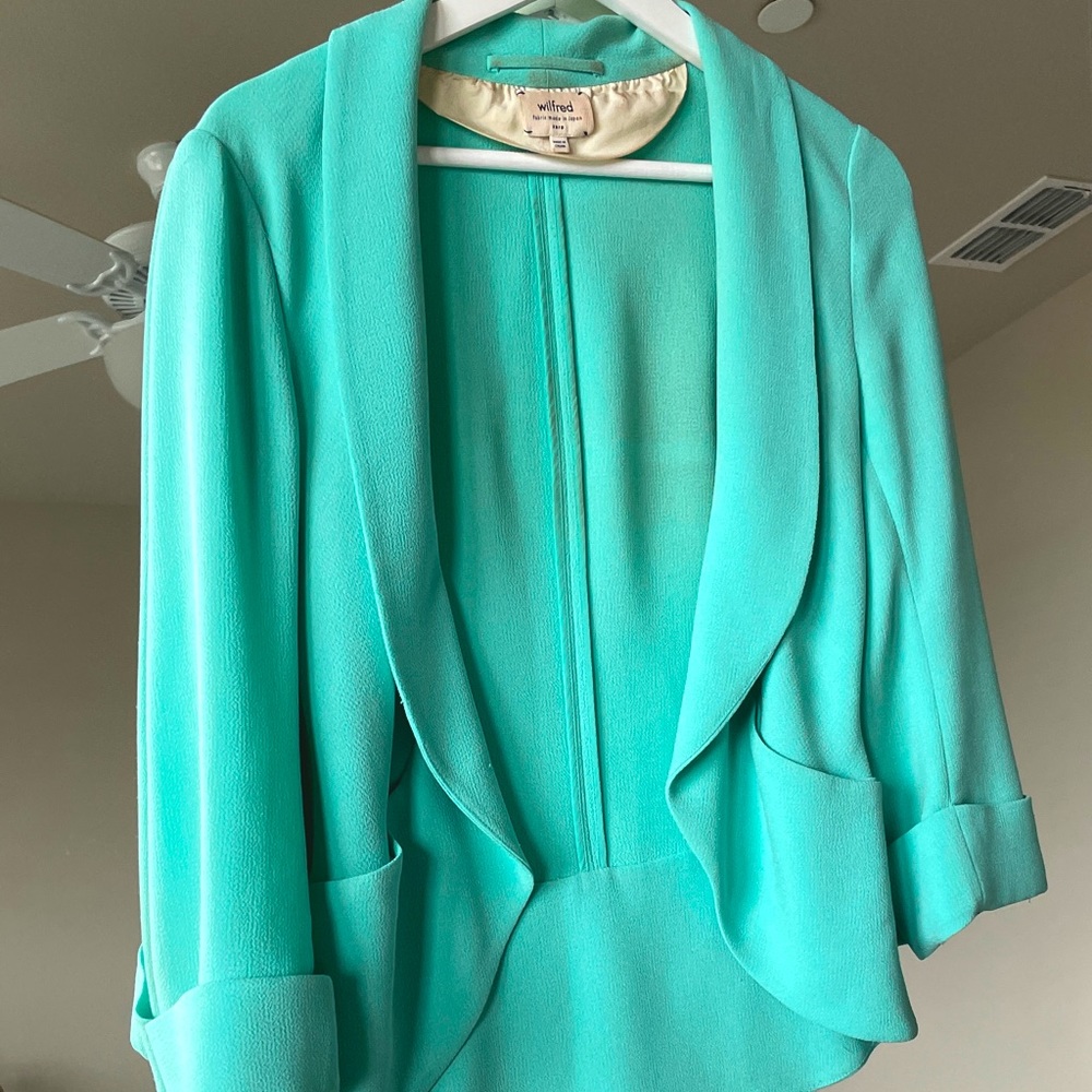 Aritzia Tiffany blue jacket
